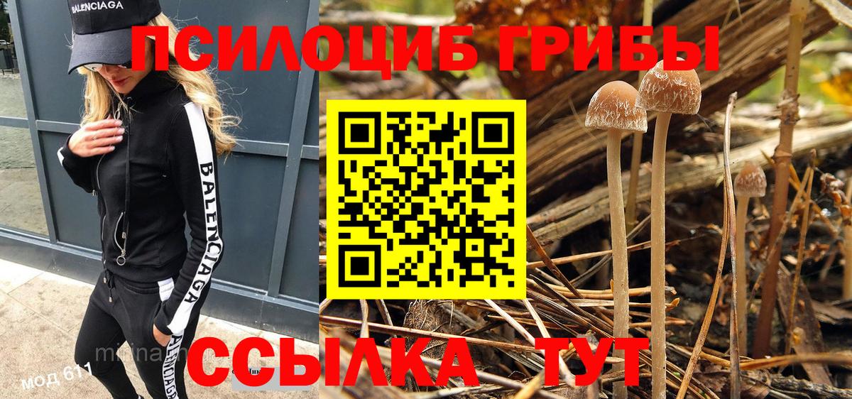Мытищи  Галлюциногенные грибы мухоморы  Вход с VPN  Галлюциногенные грибы прущие грибы 