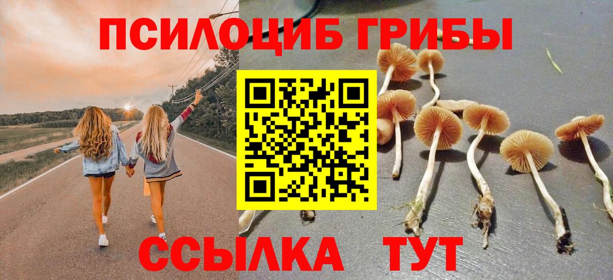 Галлюциногенные грибы Psilocybine cubensis Мытищи